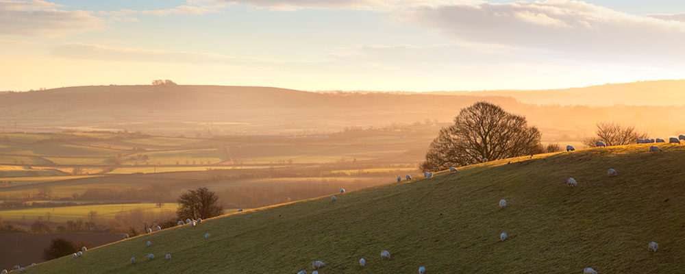 Inheritance Tax Planning